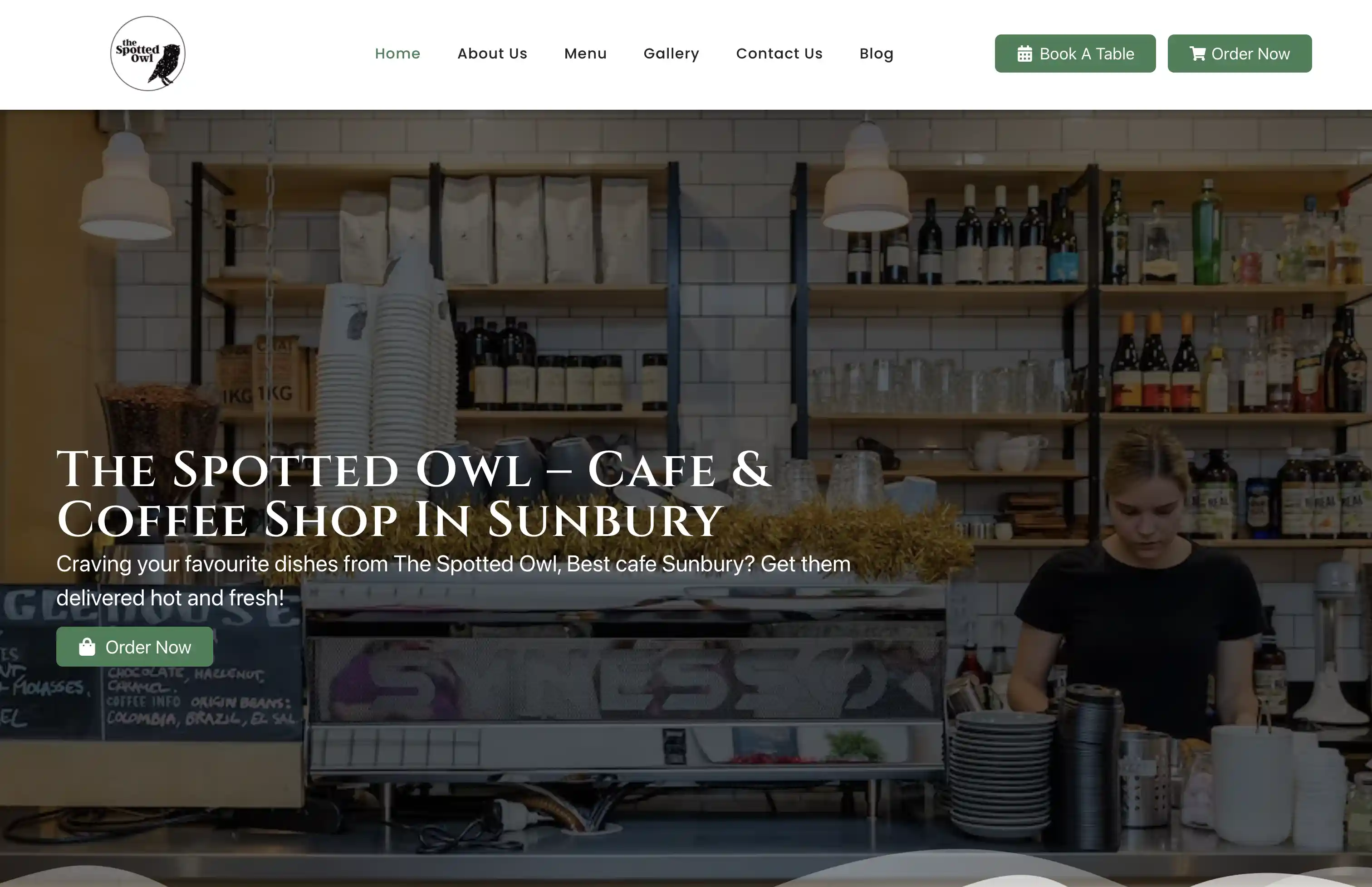 The Spotted Owl